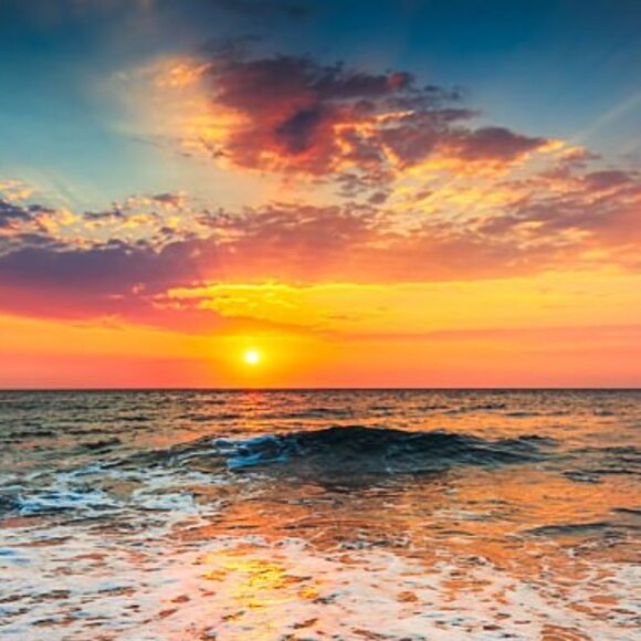 Meet your Posher, Joanna - Picture 1 of 1